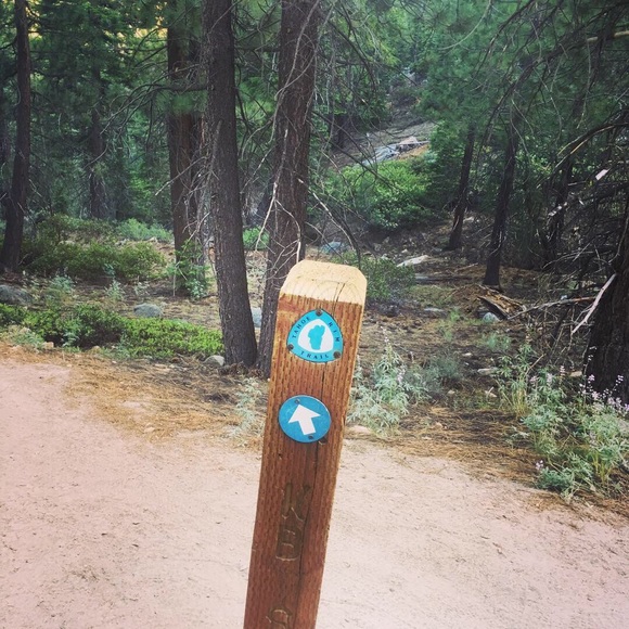 Meet your Posher, Chris - Picture 2 of 6